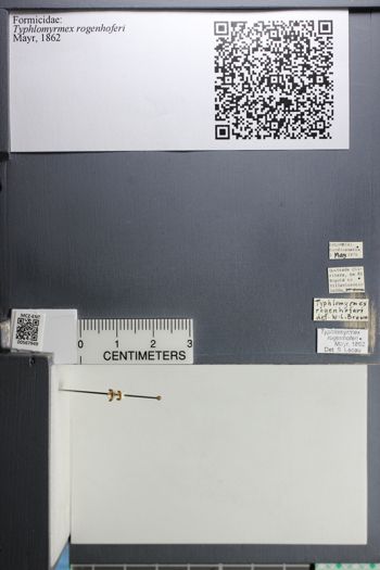 Media type: image;   Entomology 567949